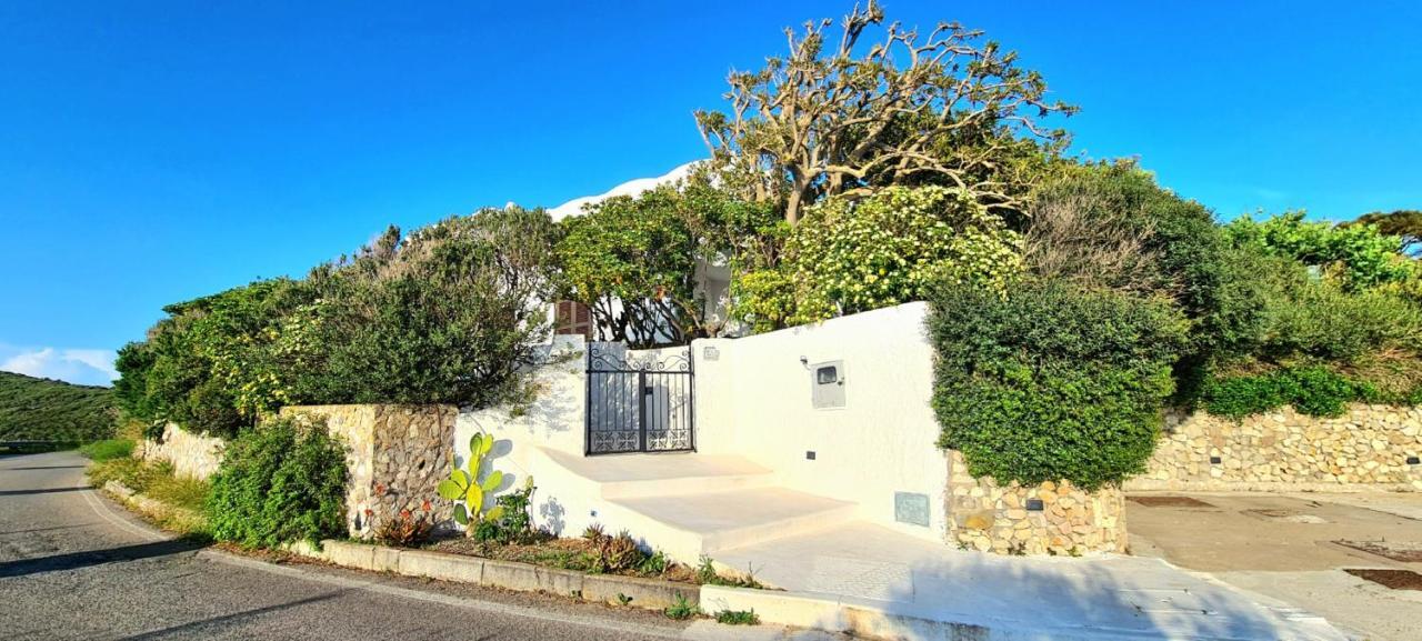 Guest House Villa Il Gabbiano ปอนซา ภายนอก รูปภาพ