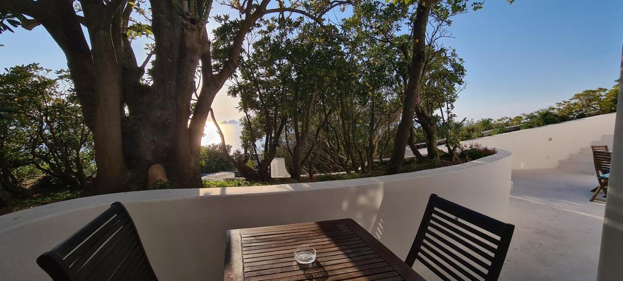 Guest House Villa Il Gabbiano ปอนซา ภายนอก รูปภาพ