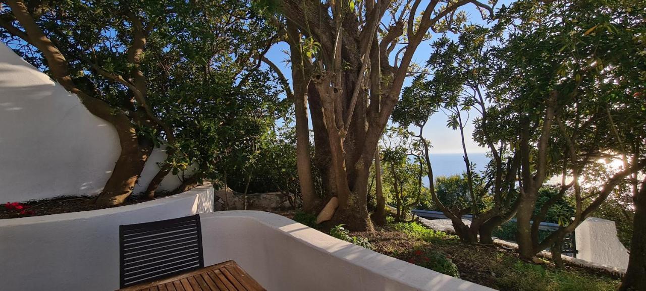 Guest House Villa Il Gabbiano ปอนซา ภายนอก รูปภาพ